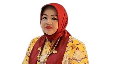 Dr. dr. Hj. Ulla Nuchrawaty, M.M.